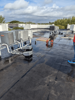 9ede35a5-1fa5-45b1-a8e4-8ab5644f692f