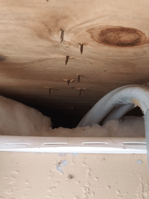 c9ace2dc-4757-4c7e-88cf-2a68ac0a0197 (1)