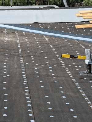 cbb1ab58-9a1d-415f-bc70-c0c6c43de29f