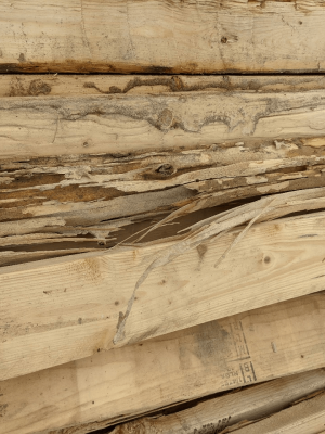 db0a40e6-06b0-42cd-9983-0d16aa77497e